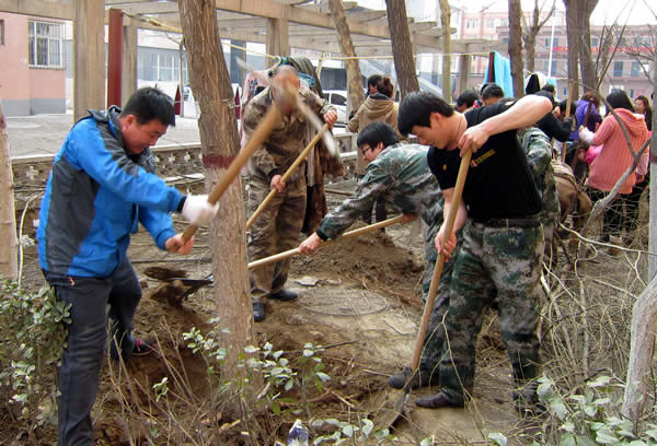 我院组织教职工移植树木绿化校园