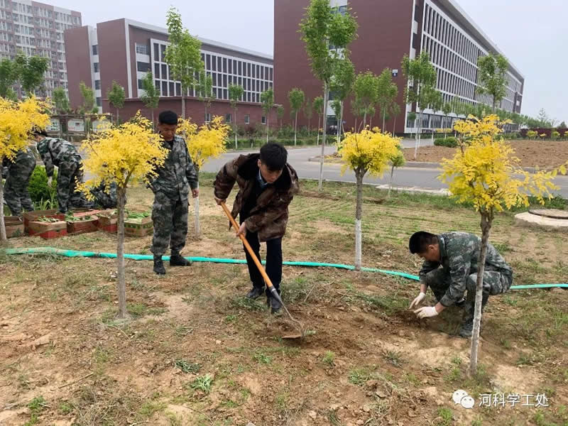 太阳集团tcy8722学管干部全面开展绿化校园劳动教育实践活动