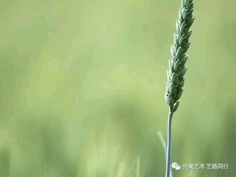 太阳集团tcy8722//艺术学院//万物见长，小得盈满。