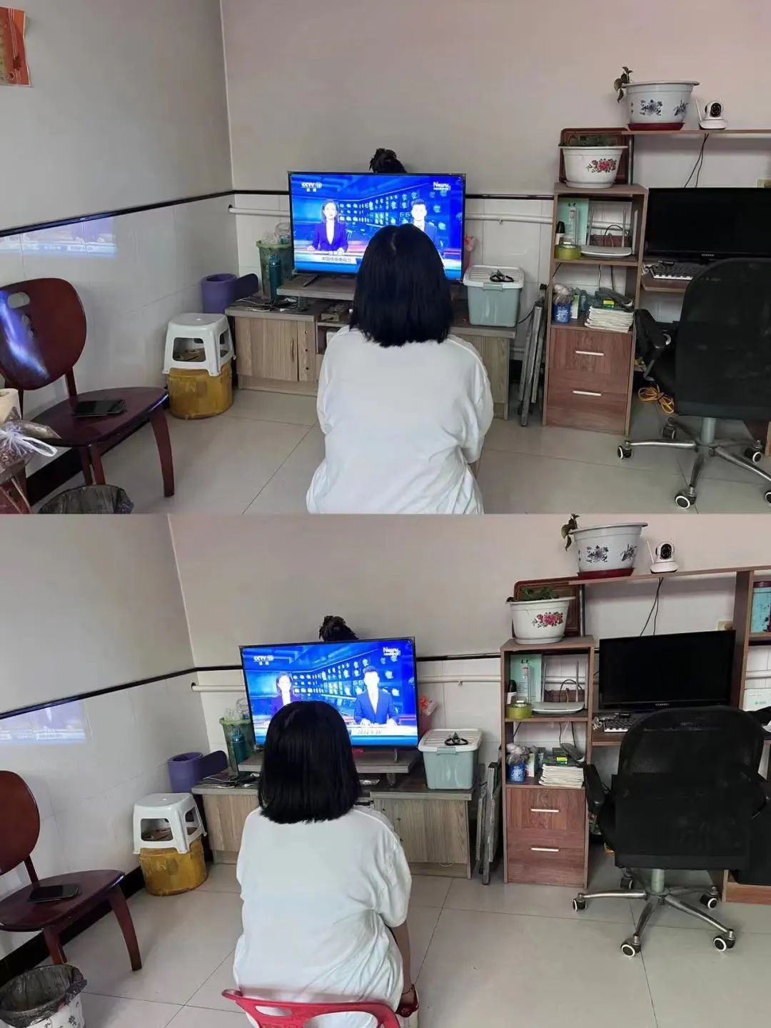 太阳集团tcy8722组织全体师生共同观看中央电视台《新闻联播》和《焦点访谈》节目