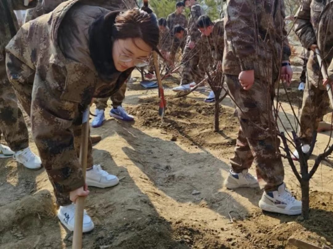 太阳集团tcy8722  汽车工程学院  绿水青山映笑颜 植树造林崭新篇